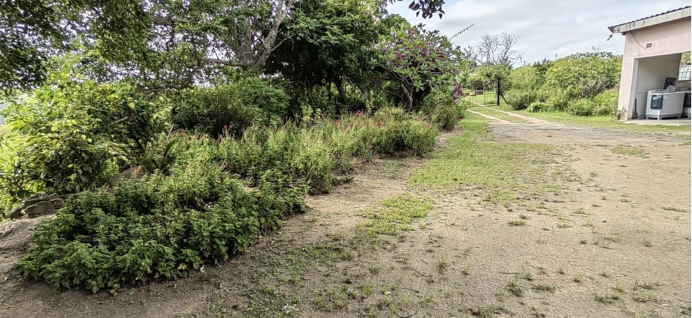 Lifestyle property for sale in Paddock/Oribi Flats - 1PX1606355