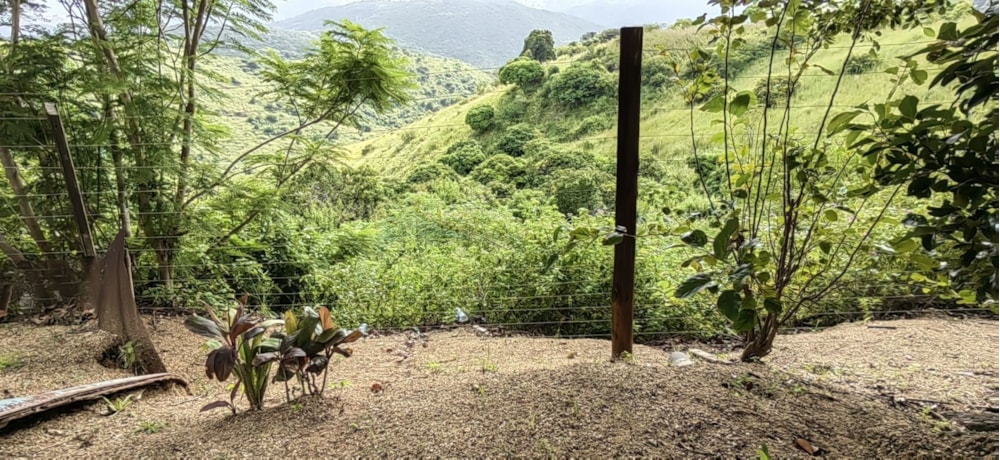 Lifestyle property for sale in Paddock/Oribi Flats - 1PX1606355