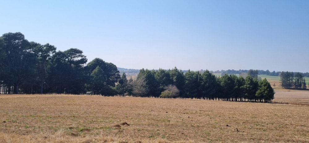 Smallholding for sale in Nottingham Road - 1PM1606517