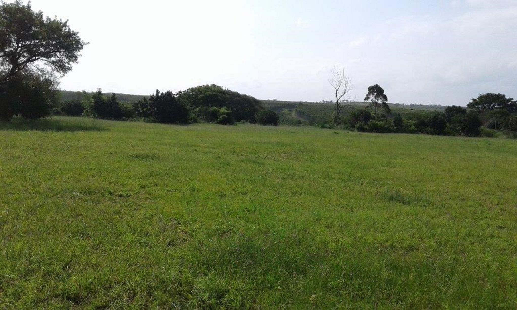 Vacant land for sale in Mtubatuba - 1RY1606782