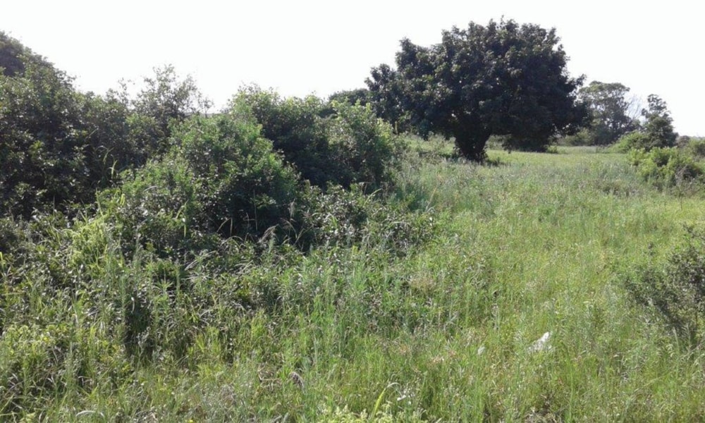 Vacant land for sale in Mtubatuba - 1RY1606782 Vacant land for sale in Mtubatuba - 1RY1606782