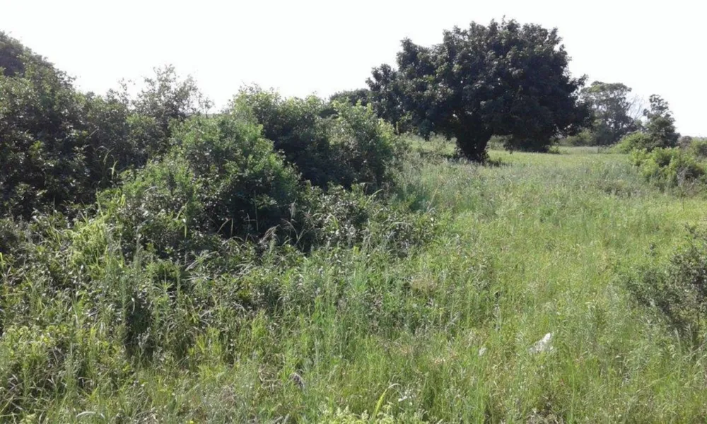 Vacant land for sale in Mtubatuba - 1RY1606782 Vacant land for sale in Mtubatuba - 1RY1606782