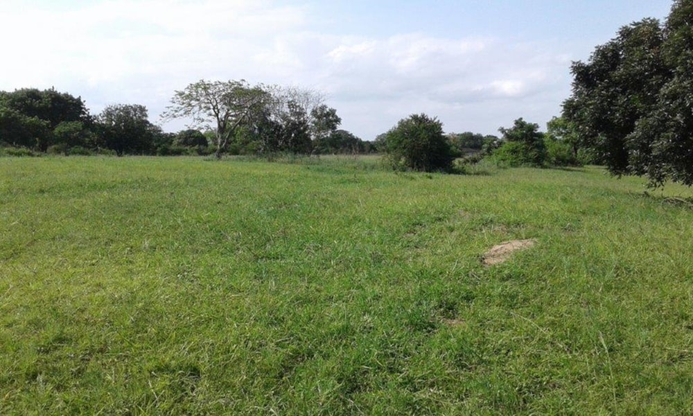Vacant land for sale in Mtubatuba - 1RY1606782 Vacant land for sale in Mtubatuba - 1RY1606782