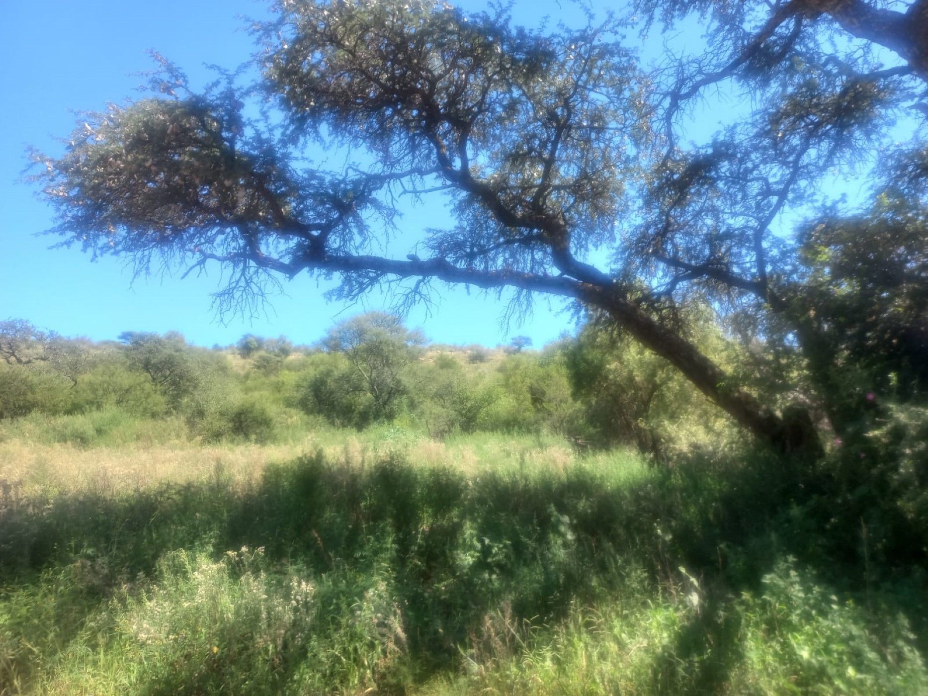 Vacant land for sale in Schweizer-Reneke - 1KJ1606985