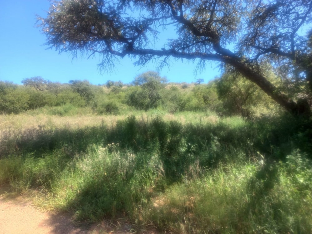 Vacant land for sale in Schweizer-Reneke - 1KJ1606985 Vacant land for sale in Schweizer-Reneke - 1KJ1606985