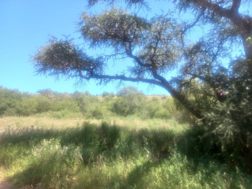 Vacant land for sale in Schweizer-Reneke - 1KJ1606985 Vacant land for sale in Schweizer-Reneke - 1KJ1606985