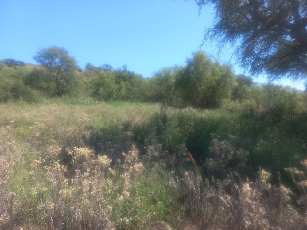 Vacant land for sale in Schweizer-Reneke - 1KJ1606985 Vacant land for sale in Schweizer-Reneke - 1KJ1606985