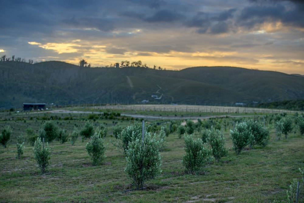 Vacant land for sale in Welbedacht - 1KG1607175 Vacant land for sale in Welbedacht - 1KG1607175