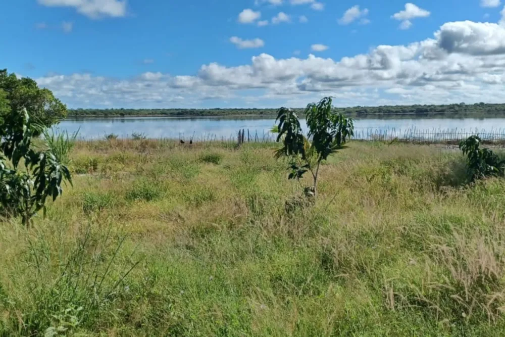 Fruit farm for sale in Vilanculos, Mozambique - 3MQ1607560