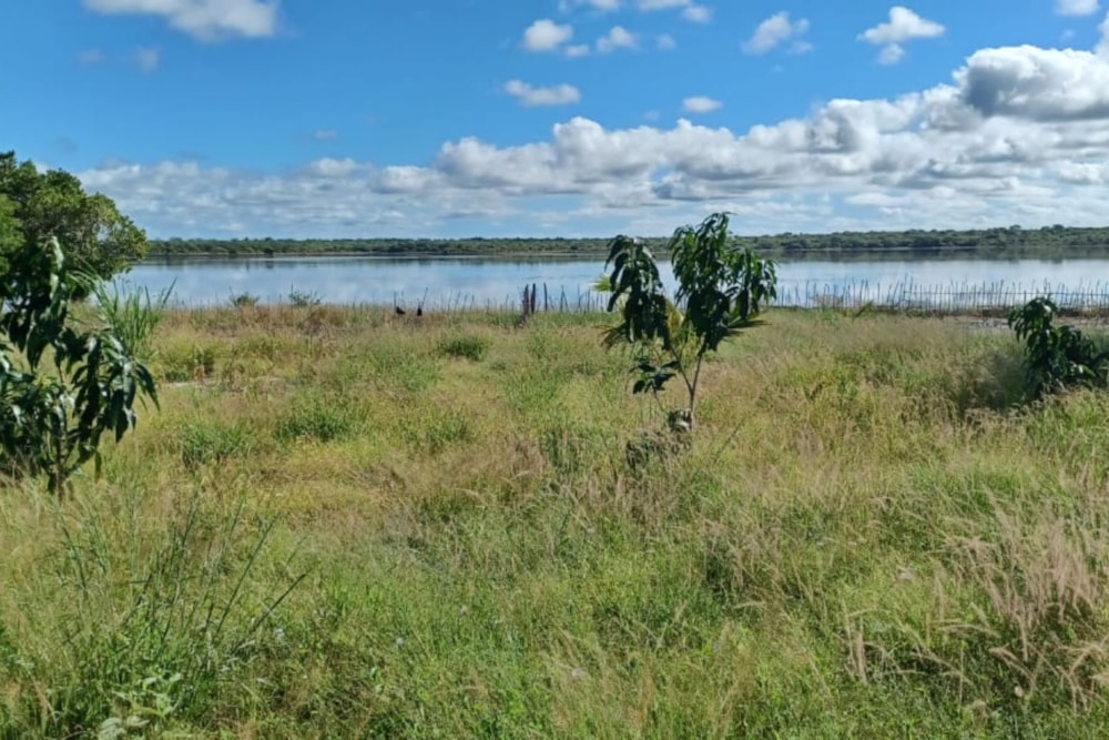 Fruit farm for sale in Vilanculos, Mozambique - 3MQ1607560