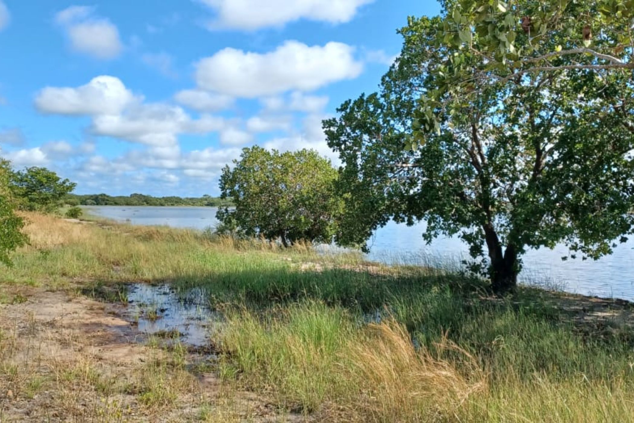 Fruit farm for sale in Vilanculos, Mozambique - 3MQ1607560