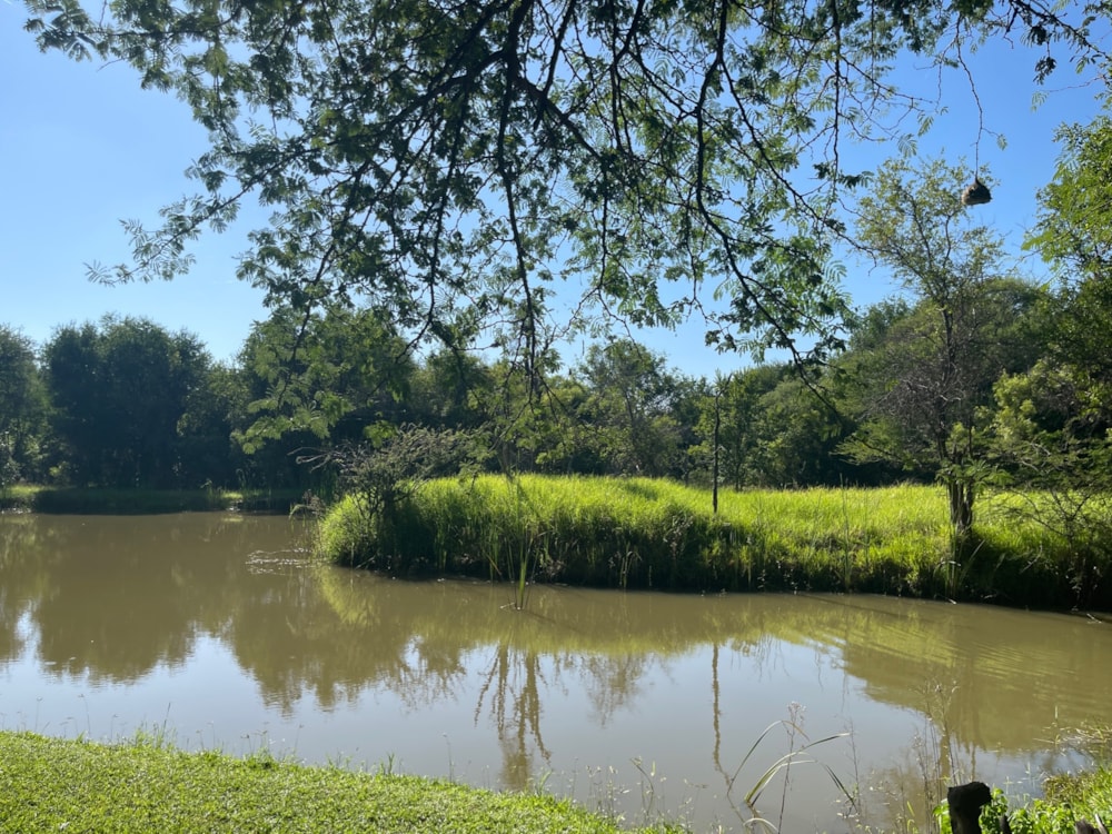 Game lodge for sale in Hammanskraal - PTM1609694