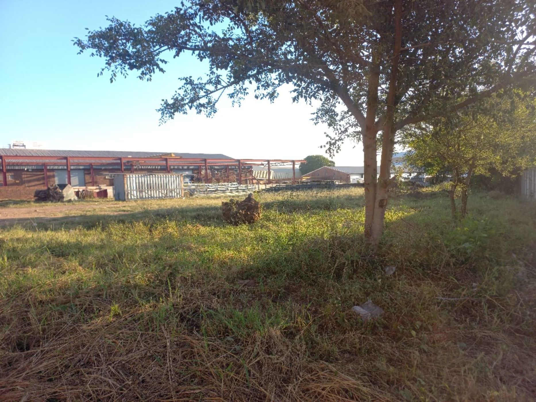 Commercial vacant land for sale in Ladine - 1PS1740816