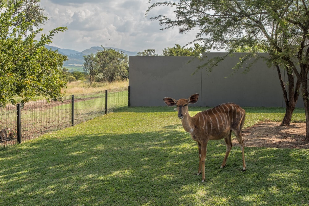 House sold in Seasons Eco Golf Estate - 1HR1608333 House sold in Seasons Eco Golf Estate - 1HR1608333