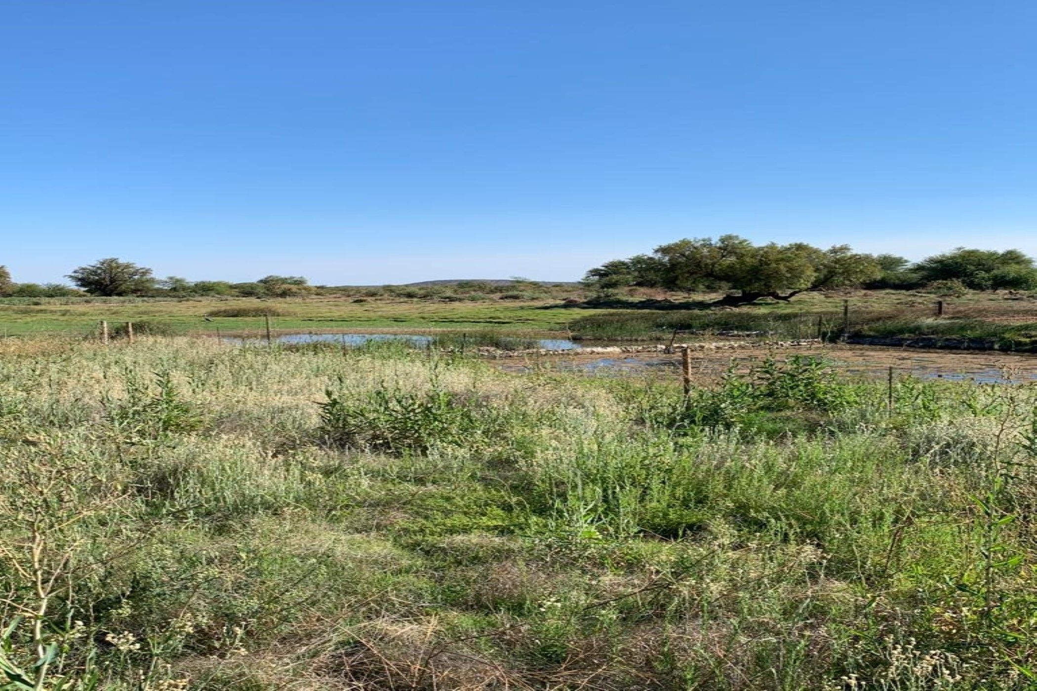 Livestock farm for sale in Postmasburg Farms - 1RN1608814