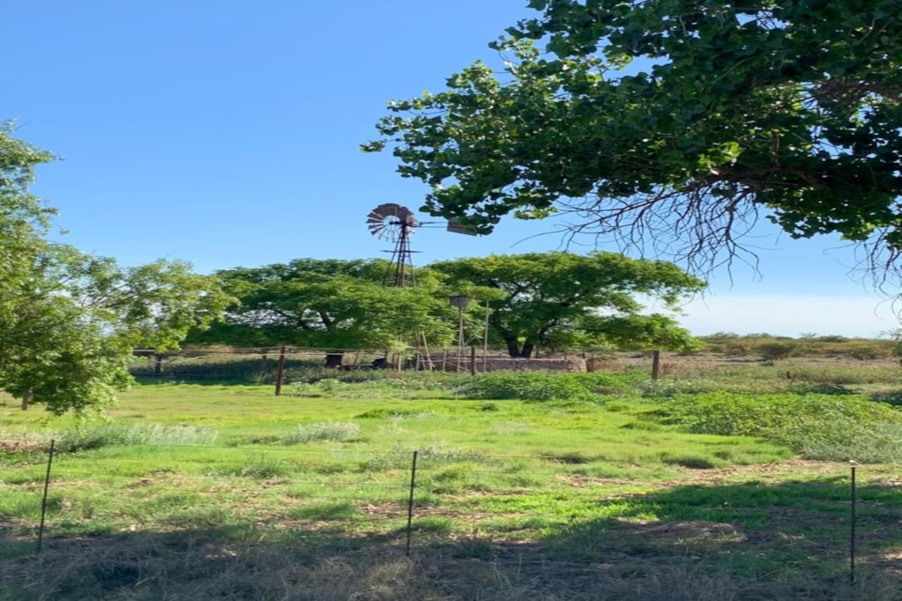 Livestock farm for sale in Postmasburg Farms - 1RN1608814 Livestock farm for sale in Postmasburg Farms - 1RN1608814