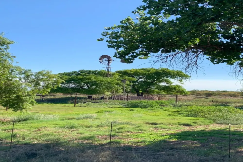 Livestock farm for sale in Postmasburg Farms - 1RN1608814 Livestock farm for sale in Postmasburg Farms - 1RN1608814