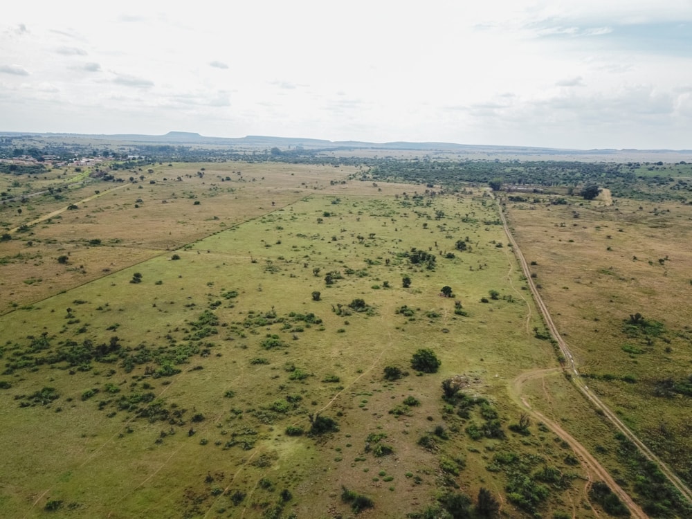 Mixed use farm for sale in Bloemfontein Rural - 1BX1608315 Mixed use farm for sale in Bloemfontein Rural - 1BX1608315