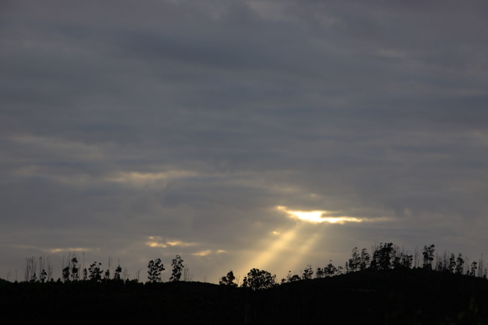 Residential vacant land for sale in Welbedacht - 1KG1516265 Residential vacant land for sale in Welbedacht - 1KG1516265