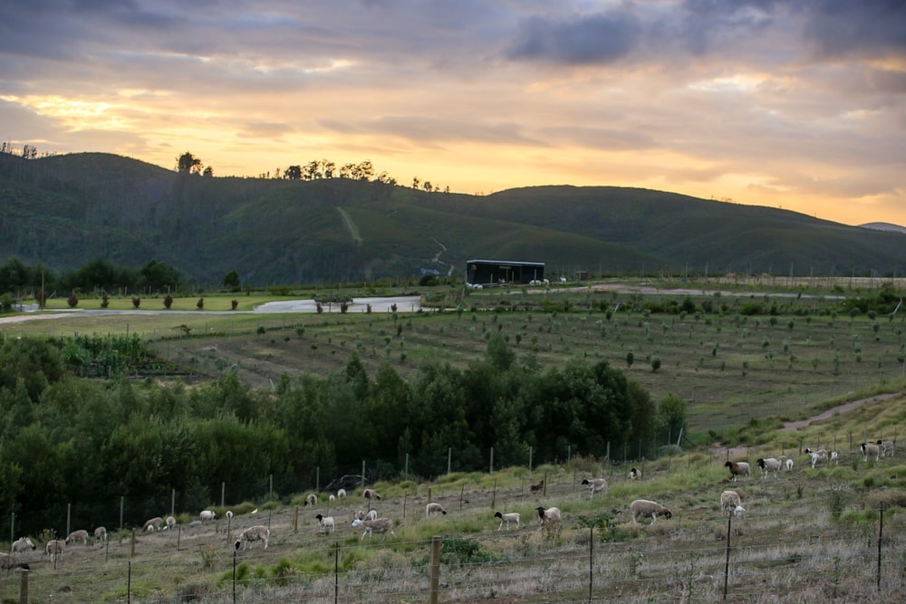 Residential vacant land for sale in Welbedacht - 1KG1516265 Residential vacant land for sale in Welbedacht - 1KG1516265