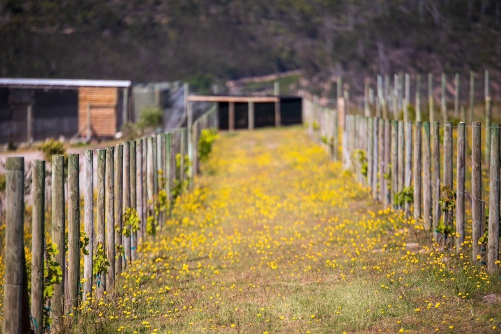 Residential vacant land for sale in Welbedacht - 1KG1516265 Residential vacant land for sale in Welbedacht - 1KG1516265