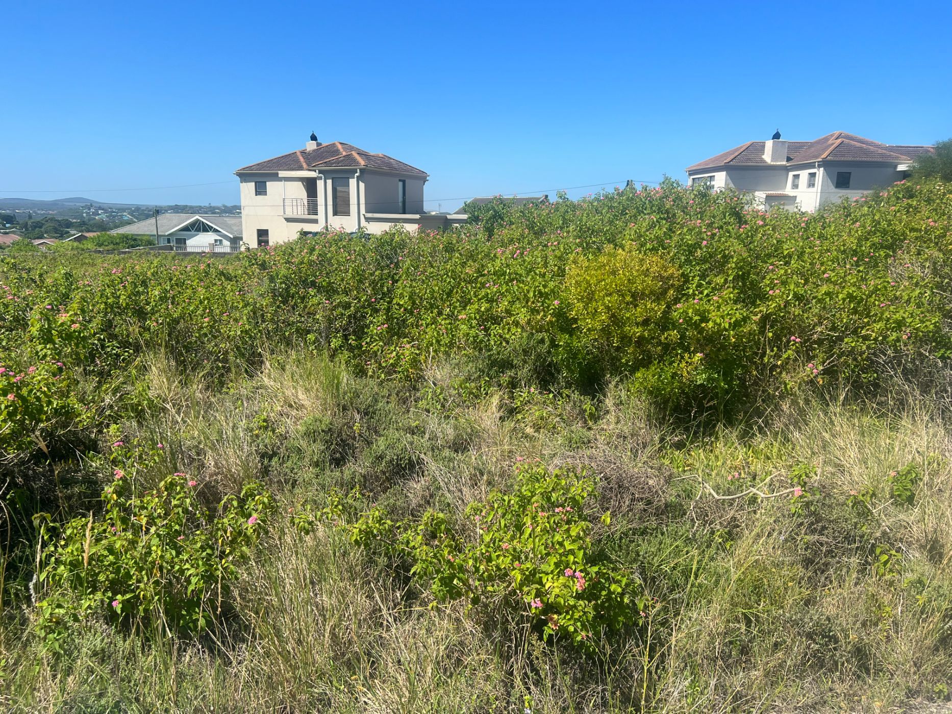 Residential vacant land sold in Forest Downs - 1PF1459118