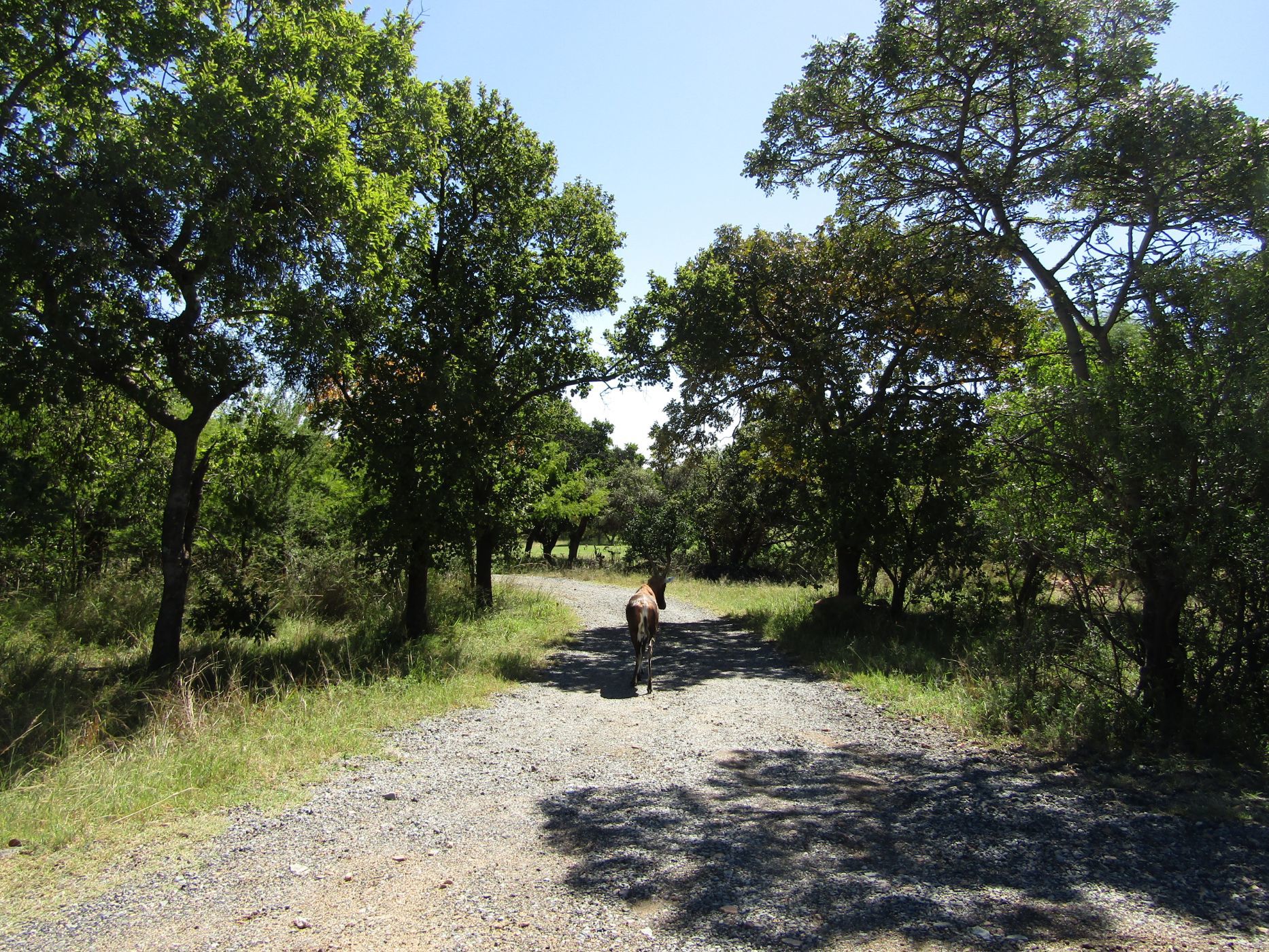 Residential vacant land for sale in Seasons Eco Golf Estate - 1HR1610962