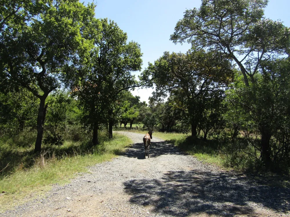 Residential vacant land sold in Seasons Eco Golf Estate - 1HR1610962 Residential vacant land sold in Seasons Eco Golf Estate - 1HR1610962