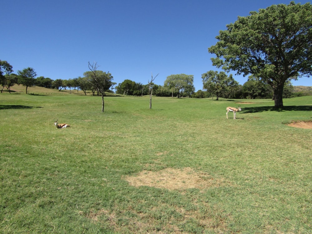 Residential vacant land for sale in Seasons Eco Golf Estate - 1HR1610962