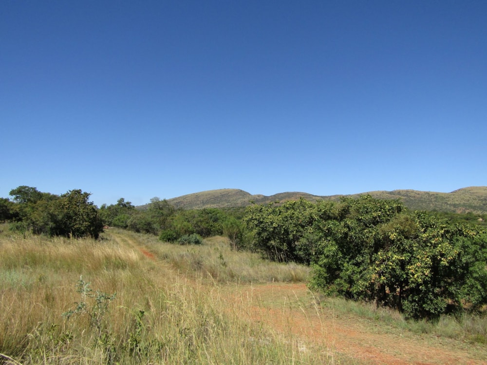 Residential vacant land for sale in Seasons Eco Golf Estate - 1HR1610954