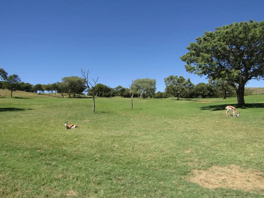 Residential vacant land sold in Seasons Eco Golf Estate - 1HR1610954 Residential vacant land sold in Seasons Eco Golf Estate - 1HR1610954