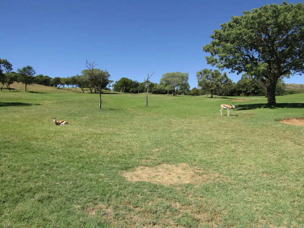 Residential vacant land sold in Seasons Eco Golf Estate - 1HR1610949 Residential vacant land sold in Seasons Eco Golf Estate - 1HR1610949