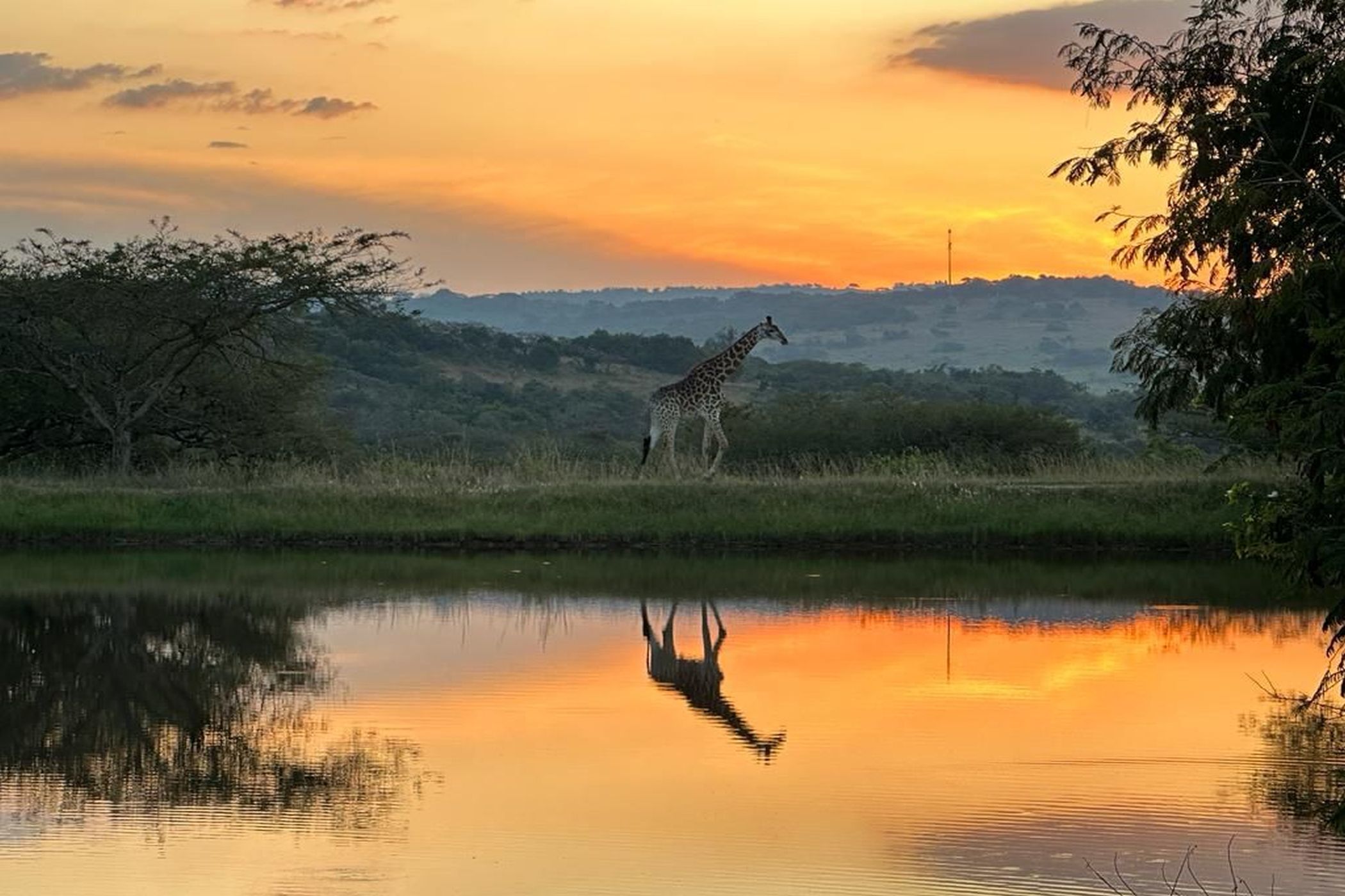 Residential vacant land for sale in Mbombela Rural (Nelspruit Rural) - 1NS1626576