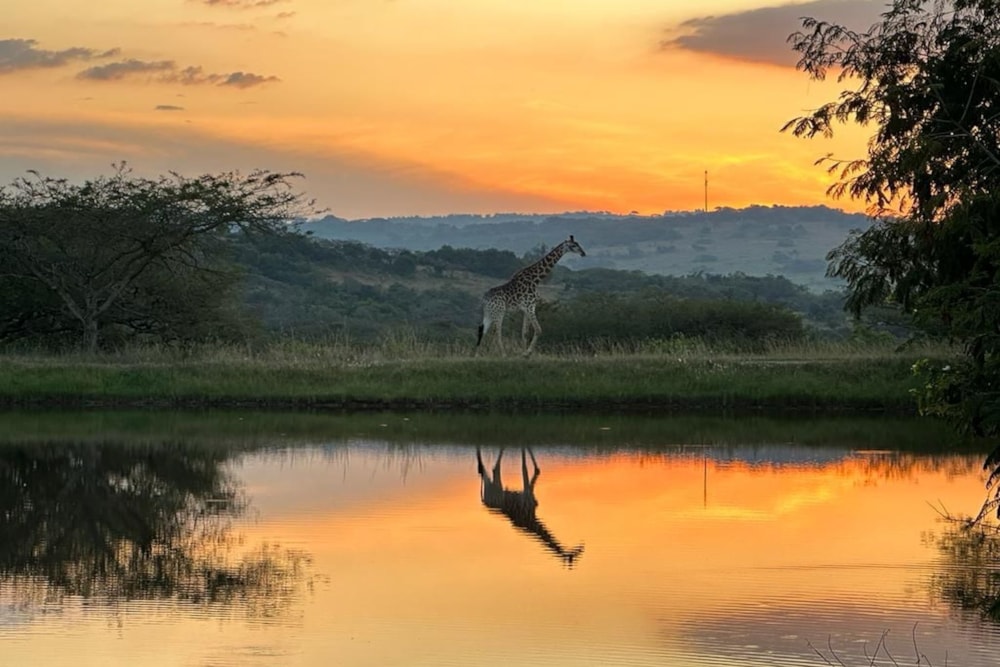 Residential vacant land for sale in Mbombela Rural (Nelspruit Rural) - 1NS1626576