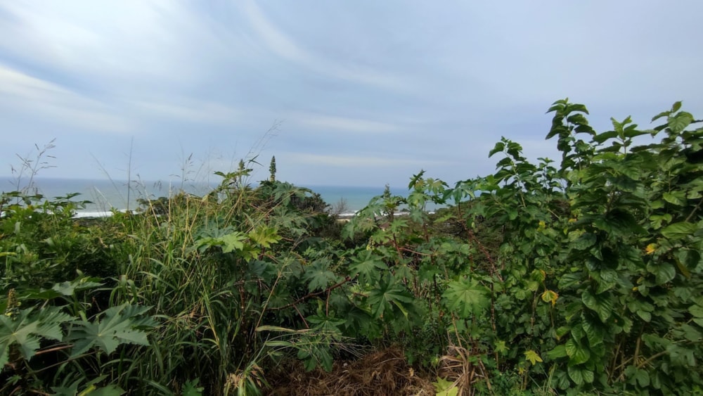 Vacant land for sale in Oslo Beach, Port Shepstone - 1PX1611805 Vacant land for sale in Oslo Beach, Port Shepstone - 1PX1611805