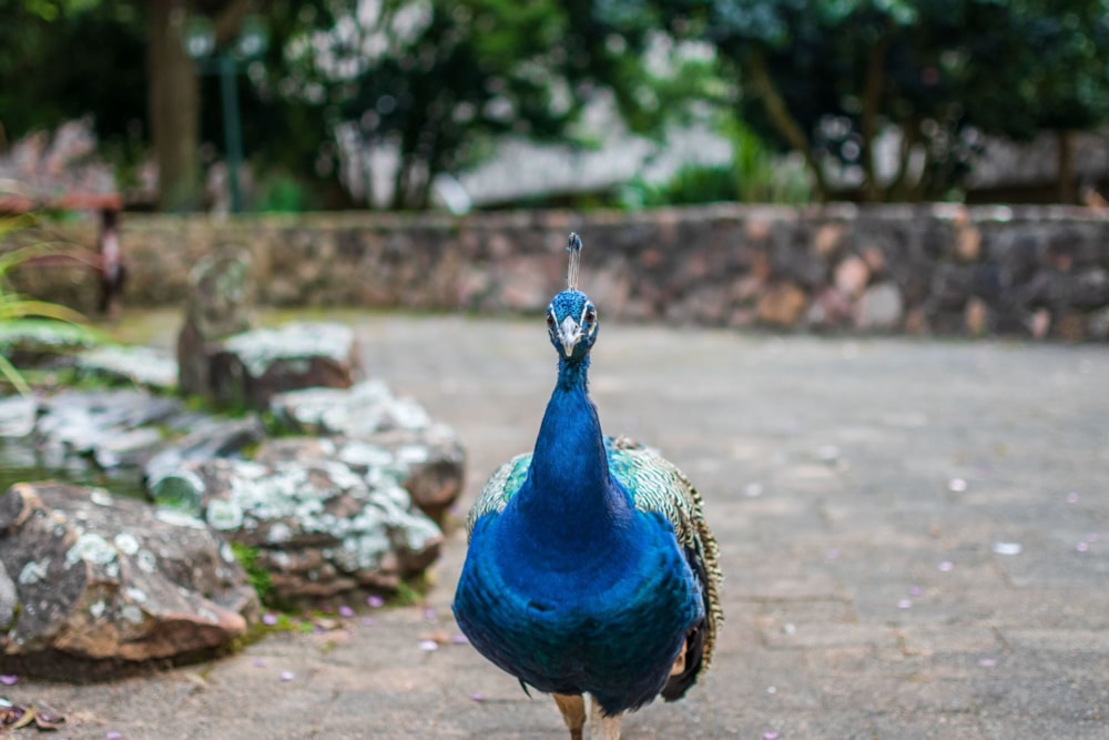 Country hotel for sale in Assagay - 1KF1610263 Country hotel for sale in Assagay - 1KF1610263