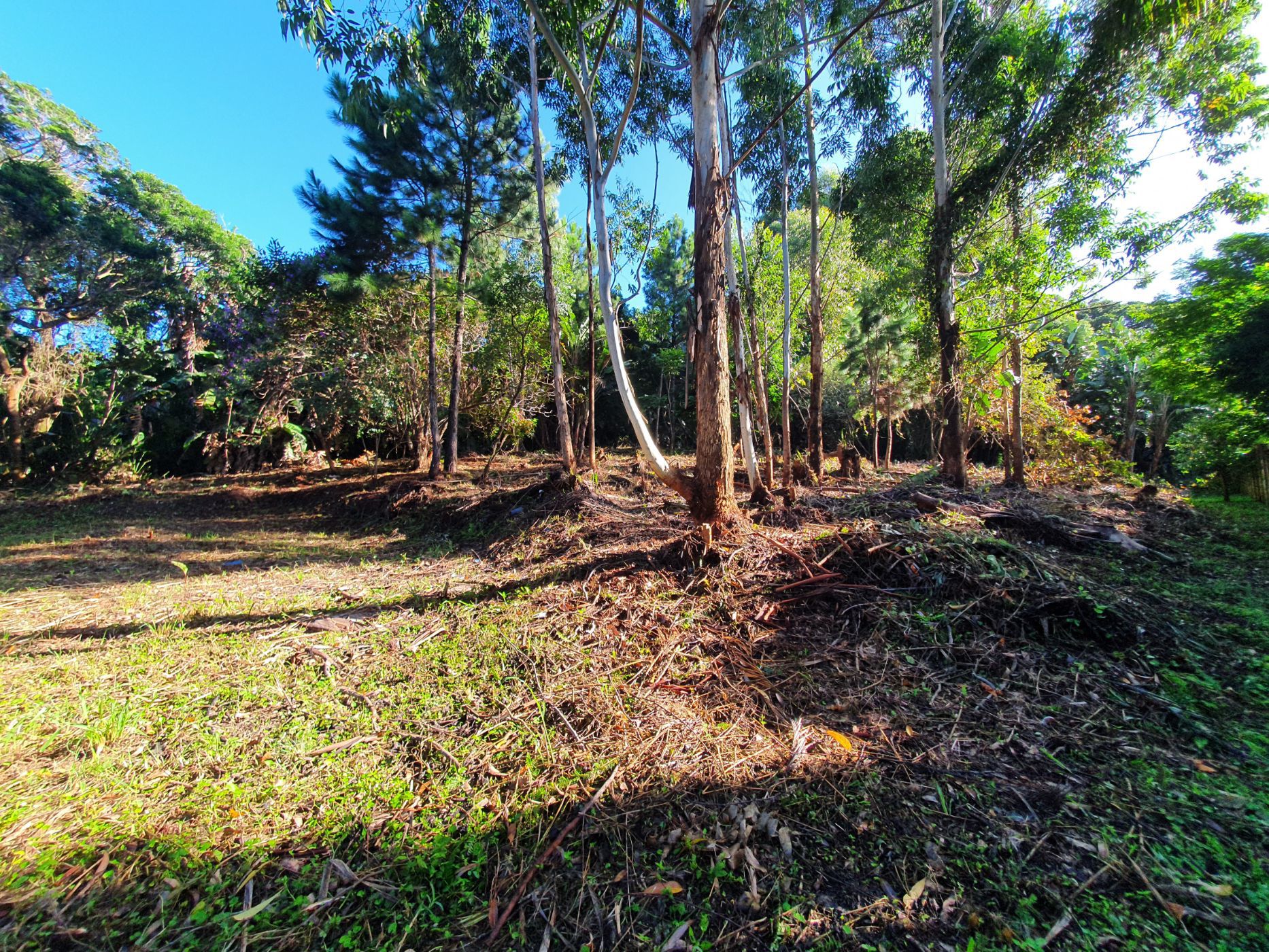 Residential vacant land for sale in Leisure Bay - 1PD1610409