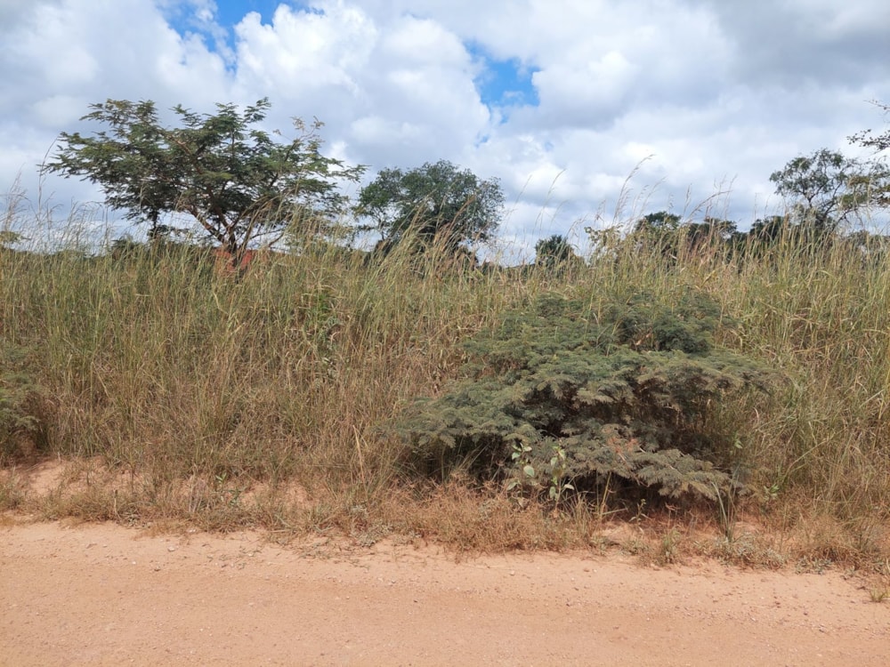 Vacant land for sale in Roan Park, Lusaka Province, Zambia - 3ZA1611159