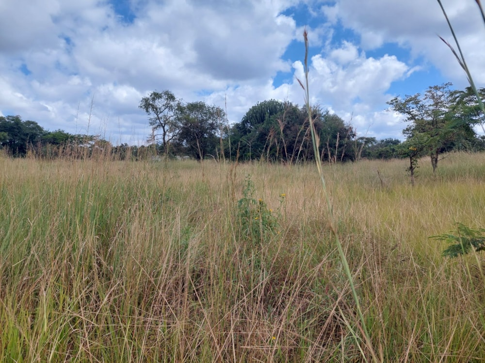 Vacant land for sale in Roan Park, Lusaka Province, Zambia - 3ZA1611159