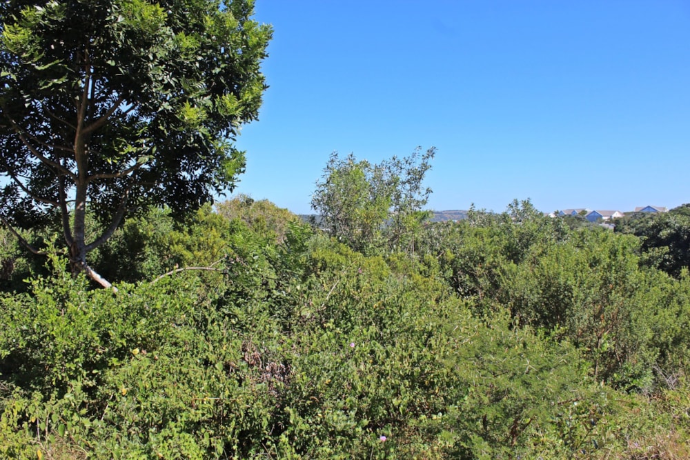 Residential vacant land for sale in Seafield, Kleinemonde - 1PF1610449