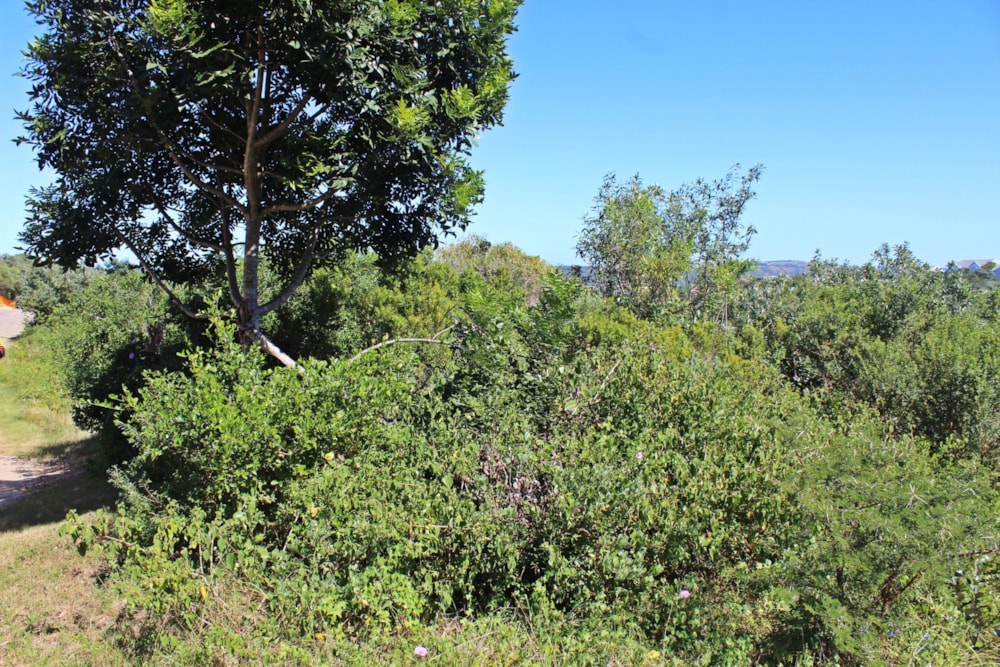 Residential vacant land for sale in Seafield, Kleinemonde - 1PF1610449