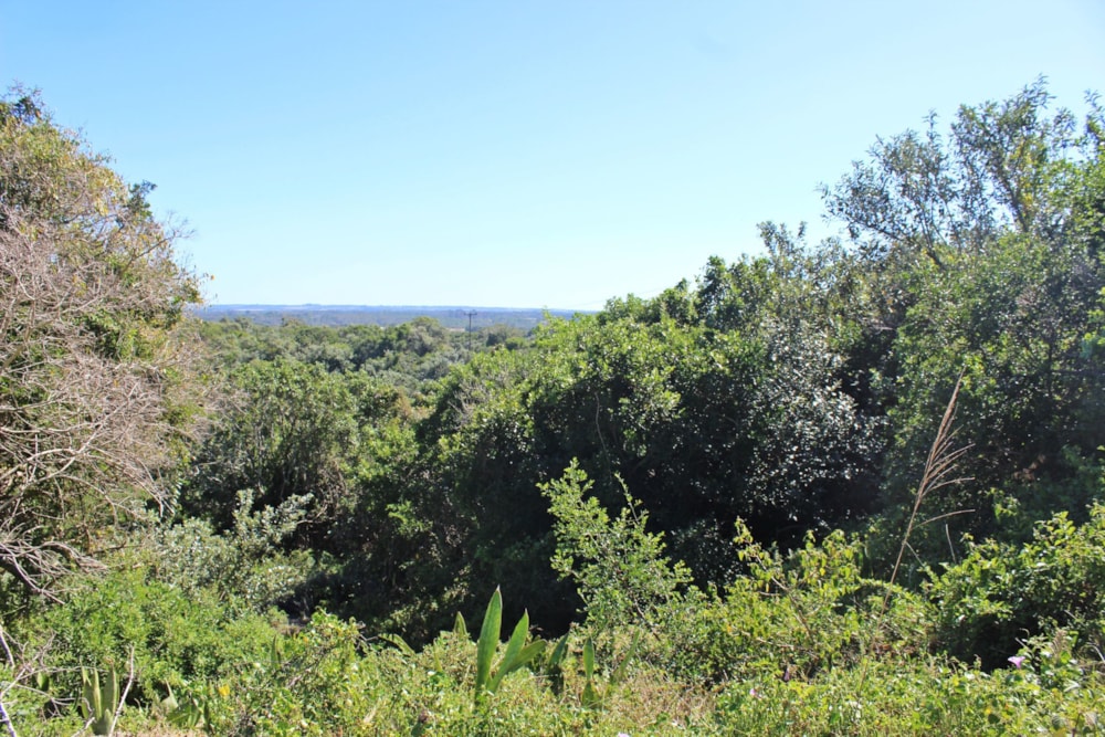 Residential vacant land for sale in Seafield, Kleinemonde - 1PF1610449