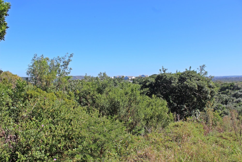 Residential vacant land for sale in Seafield, Kleinemonde - 1PF1610449