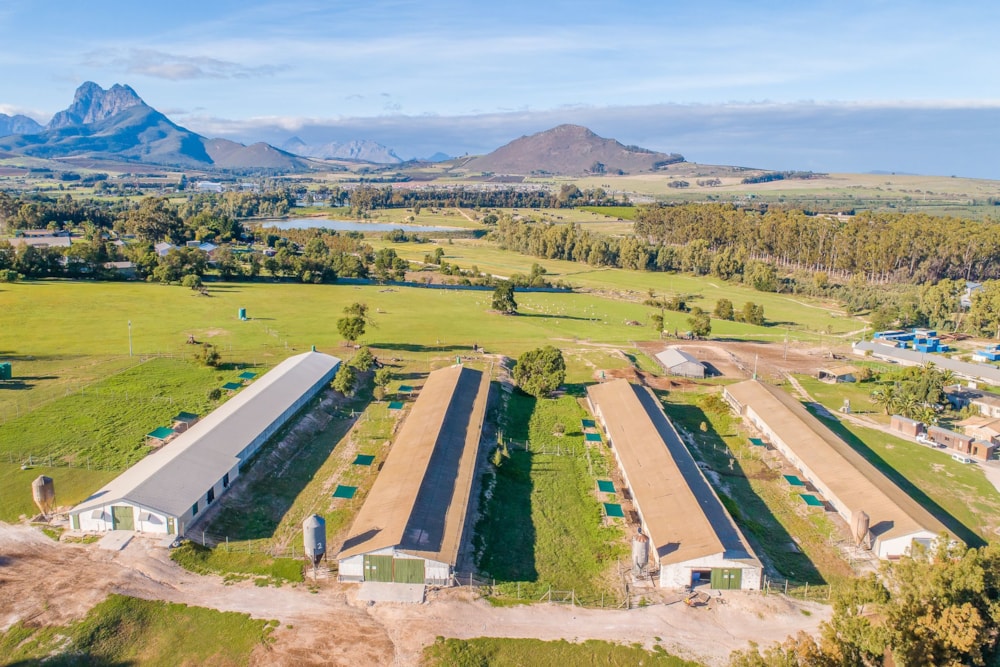 Poultry farm sold in Klapmuts - TK1609533 Poultry farm sold in Klapmuts - TK1609533