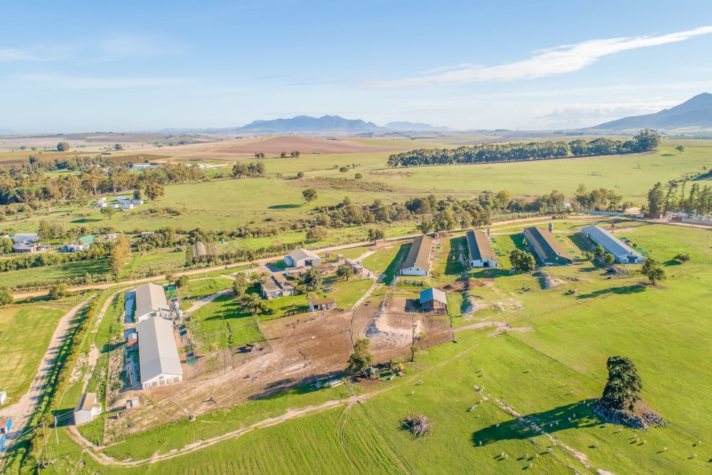 Poultry farm sold in Klapmuts - TK1609533 Poultry farm sold in Klapmuts - TK1609533