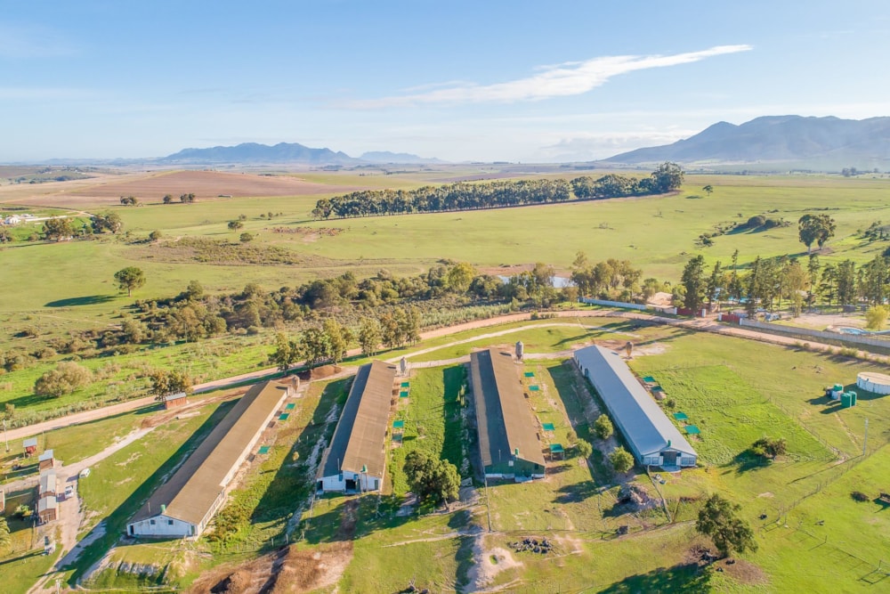 Poultry farm sold in Klapmuts - TK1609533 Poultry farm sold in Klapmuts - TK1609533