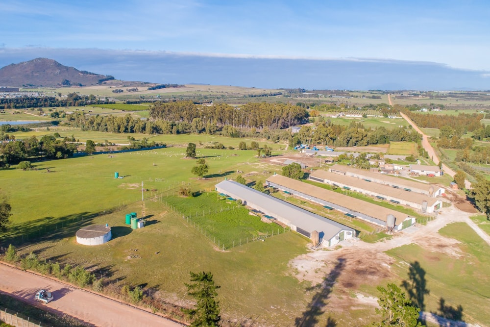 Poultry farm sold in Klapmuts - TK1609533 Poultry farm sold in Klapmuts - TK1609533