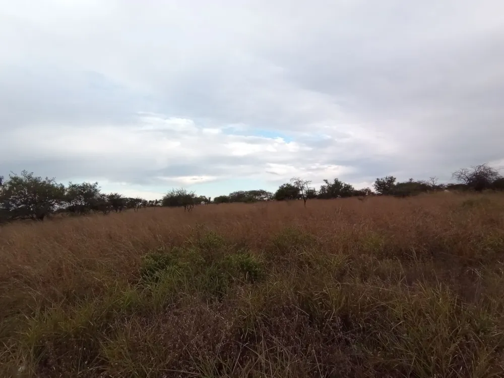 Vacant land for sale in Bendor - 1PS1609110