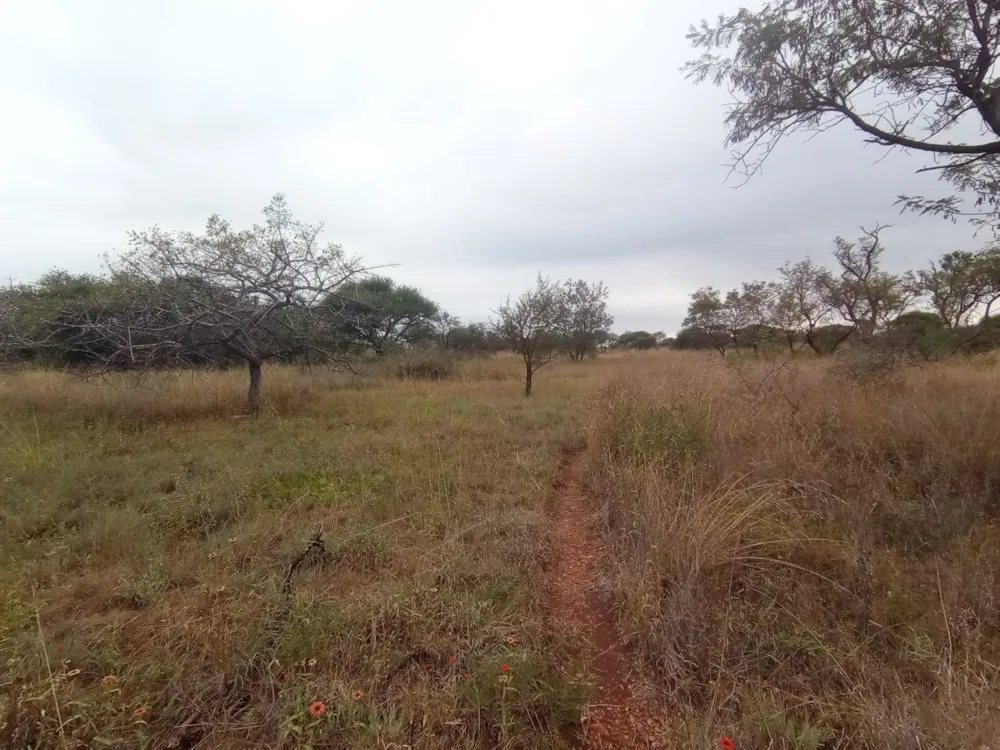 Vacant land for sale in Bendor - 1PS1609110