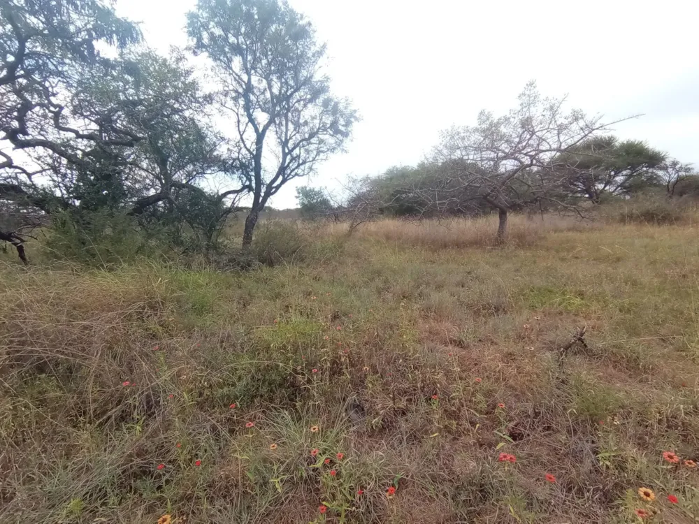 Vacant land for sale in Bendor - 1PS1609110